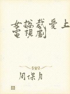 女总裁爱上保安电视剧