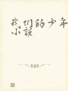 我们的少年时代小说
