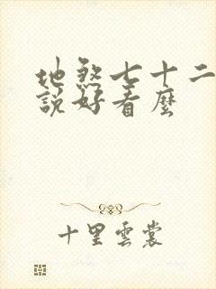 地煞七十二变小说好看么