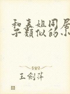 和表姐同居的日子类似的小说