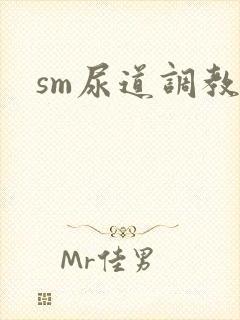 sm尿道调教h