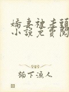 娇妻被老头征服小说免费阅读