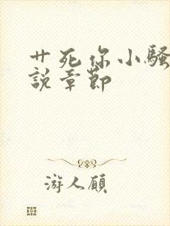 艹死你小骚货小说章节