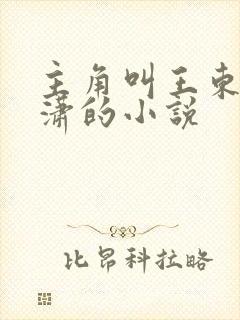 主角叫王东和唐潇的小说封面