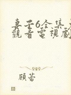 妻子6全集免费观看电视剧第11集封面