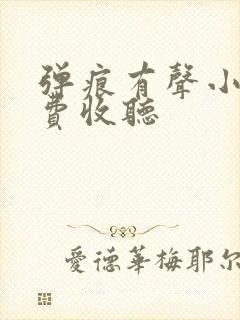 弹痕有声小说免费收听封面