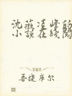 沈薇凌峰的官场小说在线阅读封面