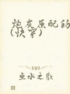 炮灰原配的人生(快穿)