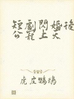 短剧闪婚后被老公宠上天封面