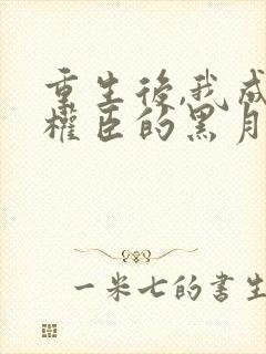 重生后,我成了权臣的黑月光