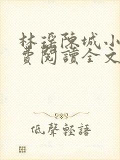 林瑶陈城小说免费阅读全文最新章节封面