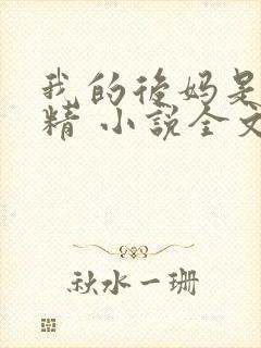 我的后妈是狐狸精 小说全文阅读免费