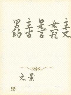 男主是女主继兄的古言宠文