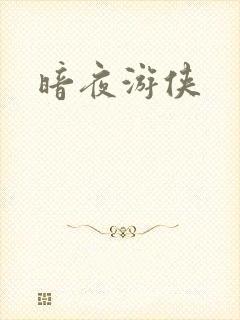 暗夜游侠