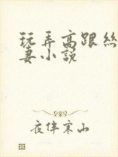 玩弄高跟丝袜人妻小说封面