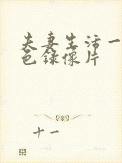 夫妻生活一级黄色录像片