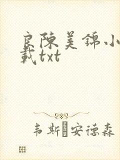 良陈美锦小说下载txt