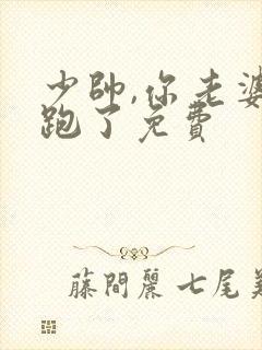 少帅,你老婆又跑了免费