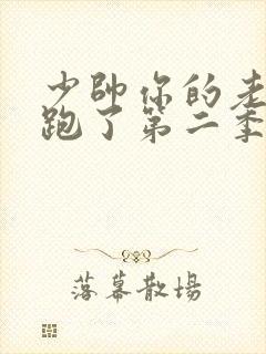 少帅你的老婆又跑了第二季封面