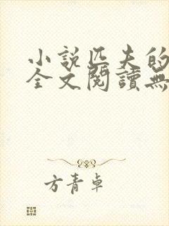 小说匹夫的逆袭全文阅读无弹窗