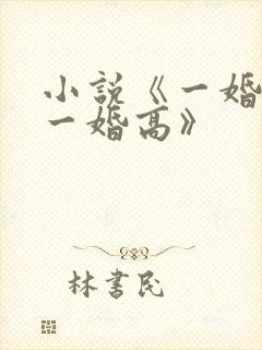 小说《一婚还比一婚高》封面