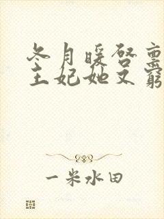 冬月暖启禀王爷王妃她又穷疯了