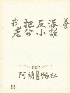 我把反派养成了老公小说