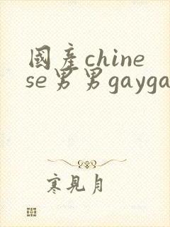 国产chinese男男gaygay无套网站