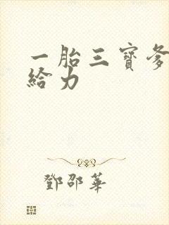 一胎三宝爹地超给力