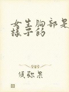 女生胸部是什么样子的