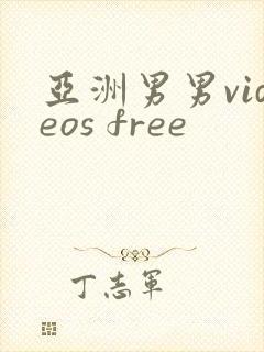 亚洲男男videos free封面