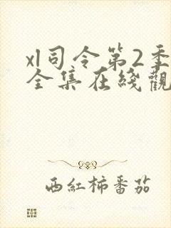 xl司令第2季全集在线观看第八集封面