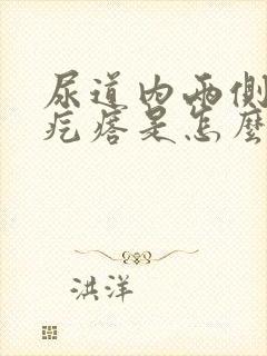 尿道内两侧有小疙瘩是怎么回事封面