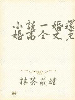 小说一婚还比一婚高全文免费阅读晨雾的光