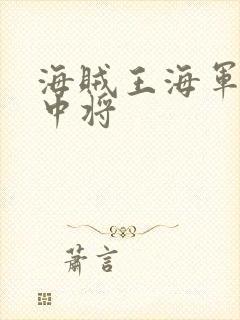 海贼王海军本部中将