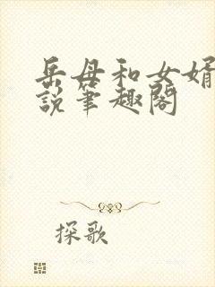 岳母和女婿的小说笔趣阁