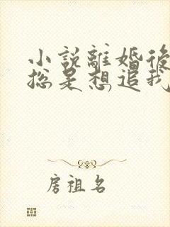 小说离婚后前夫总是想追我免费读