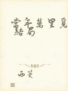 当年万里觅封侯 结局