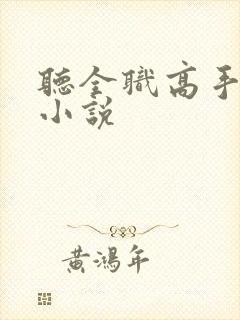 听全职高手有声小说