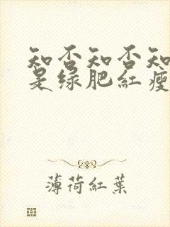 知否知否知否应是绿肥红瘦讲的是什么