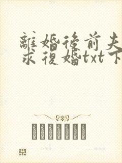 离婚后前夫哭着求复婚txt下载完本