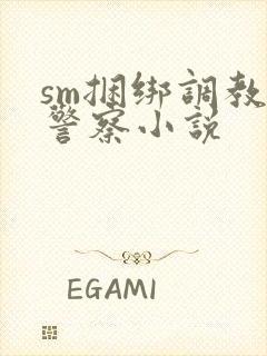 sm捆绑调教女警察小说封面