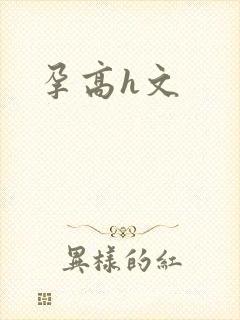 孕高h文