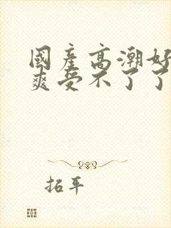 国产高潮好大好爽受不了了