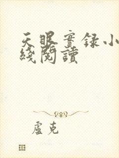 天眼实录小说在线阅读