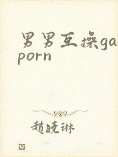 男男互操gayporn封面
