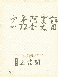 少年阿宾钰慧1～72全文目录免费阅读