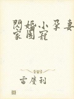 闪婚小孕妻被全家团宠