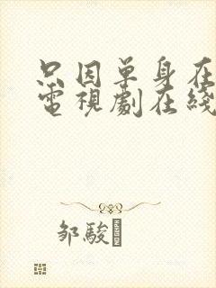 只因单身在一起电视剧在线观看免费