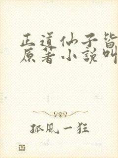 正道仙子皆为奴原著小说叫什么名字